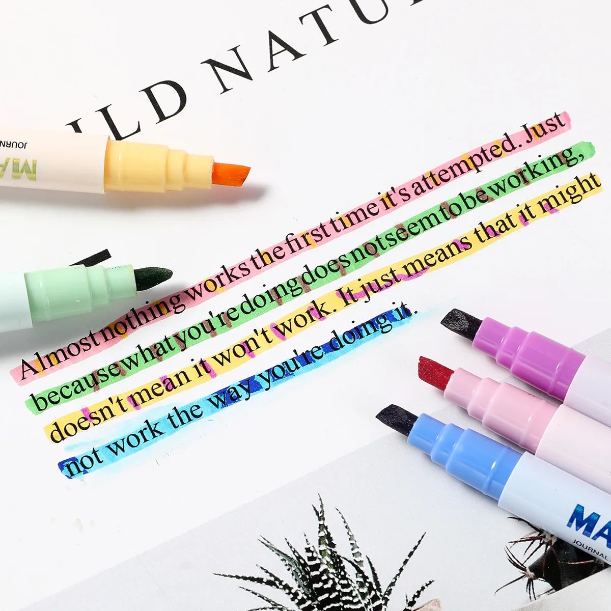 양면 매직 컬러 변경 형광펜 세트, 학생 일기 스크랩북 - Pastel Highlighter Set Double Ended 리뷰 및 가격
